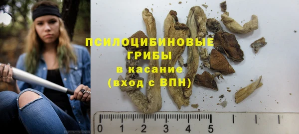 стафф Новочеркасск